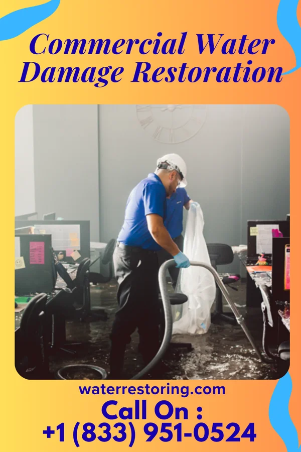 Commercial Water Damage Restoration in Elkhorn City, KY