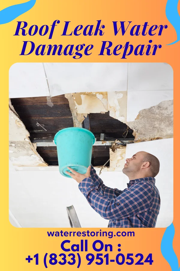Roof Leak Water Damage Repair in Elkhorn City, KY