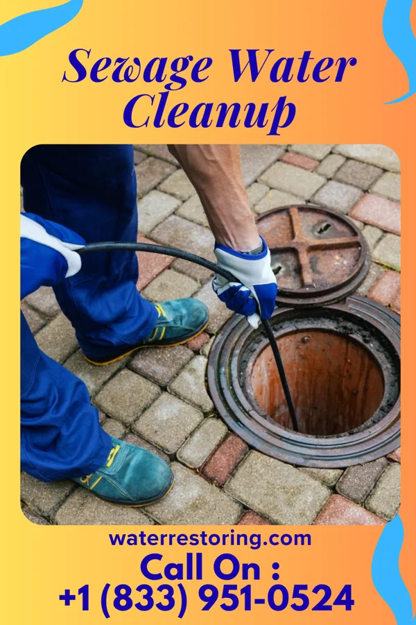Sewage Water Cleanup in Elkhorn City, KY